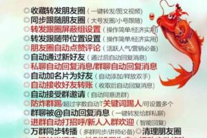 小鲤鱼-云端版！